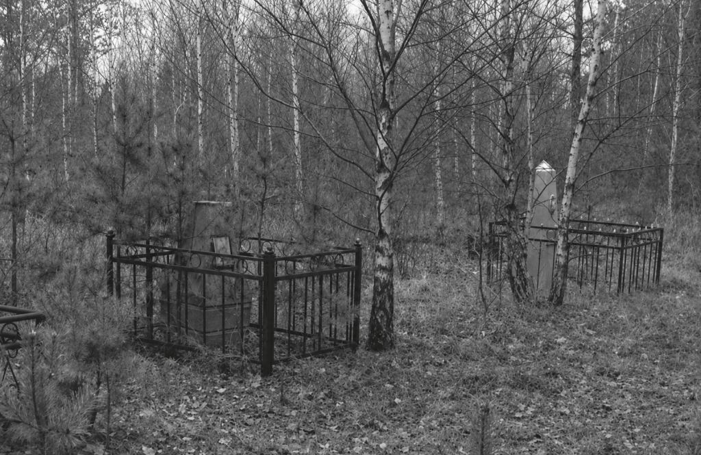 Заброшене місце з могилами, оточене дрібними деревами та чагарниками в лісі.