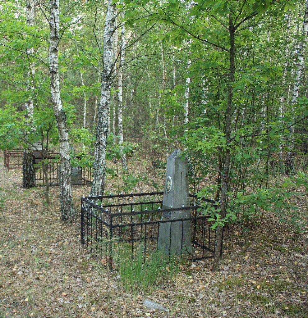 Старе кладовище в лісі, оточене березами та зеленими кущами, з кількома могилами, огородженими металевими парканчиками.