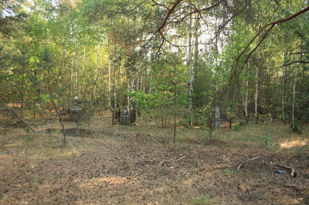 Лісовий ландшафт з кількома могилами у парканах, оточений деревами.